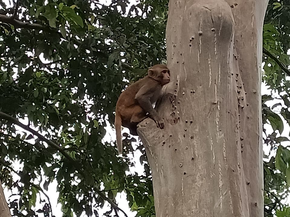 Photo of बाईक से ओमकारेश्वर यात्रा का आनंददायक अनुभव by Brijesh Tiwari