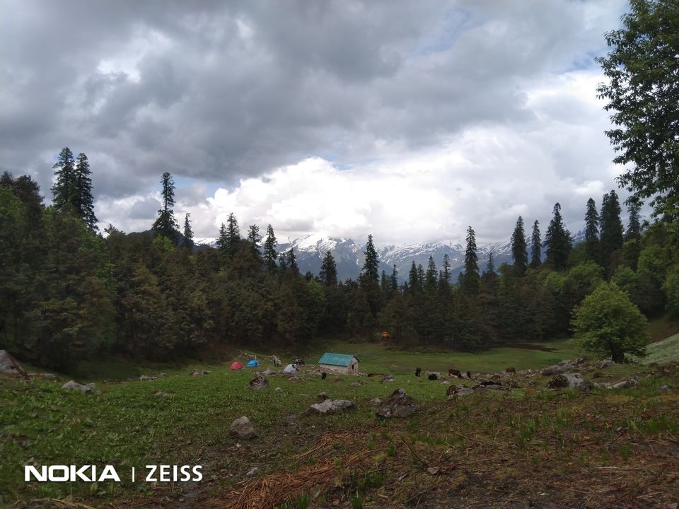 Photo of Lama Dug Natural Valley, Nasogi, Himachal Pradesh, India by Johnson John
