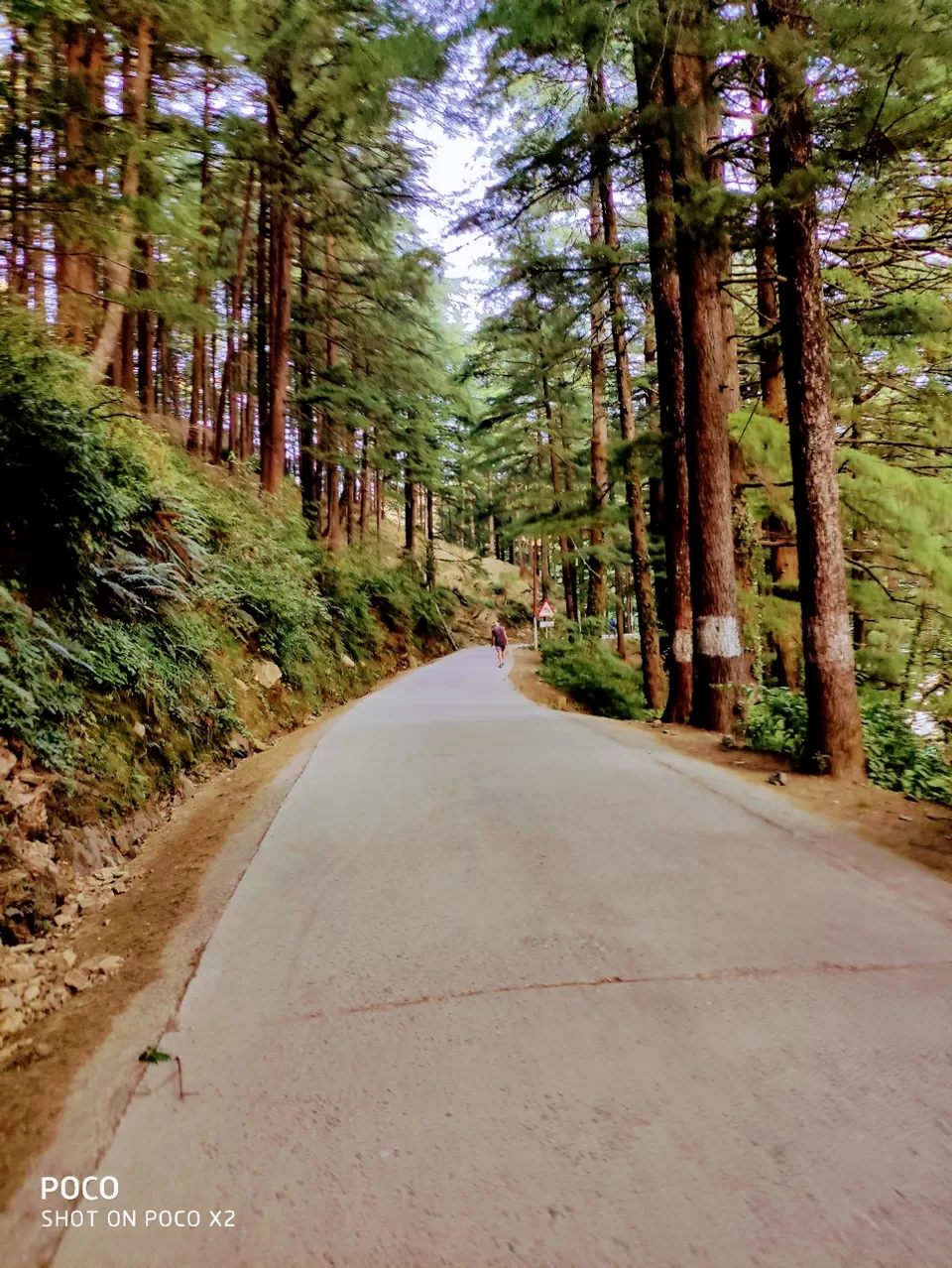 Photo of Triund Trek by Poonam Rawal