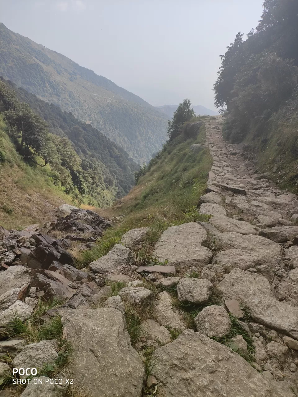 Photo of Triund Trek by Poonam Rawal