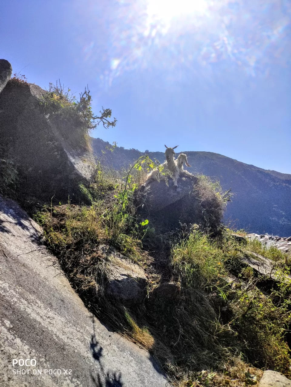 Photo of Triund Trek by Poonam Rawal