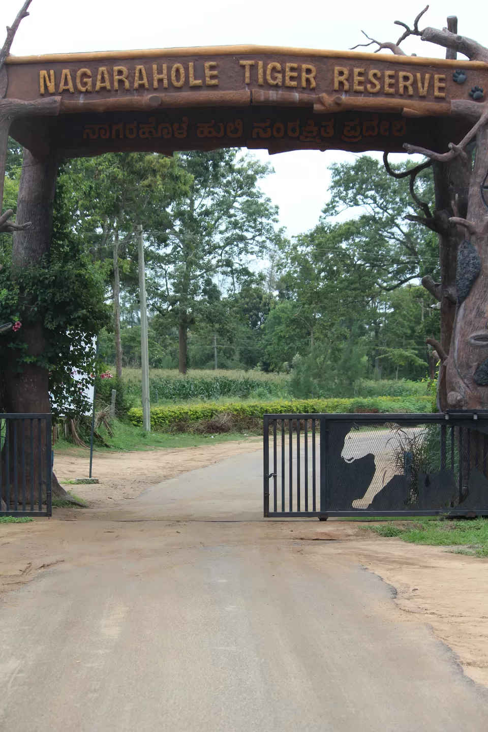 Photo of Nagarhole Tiger Reserve, Nalkeri Forest, Karnataka, India by ujwal hegde