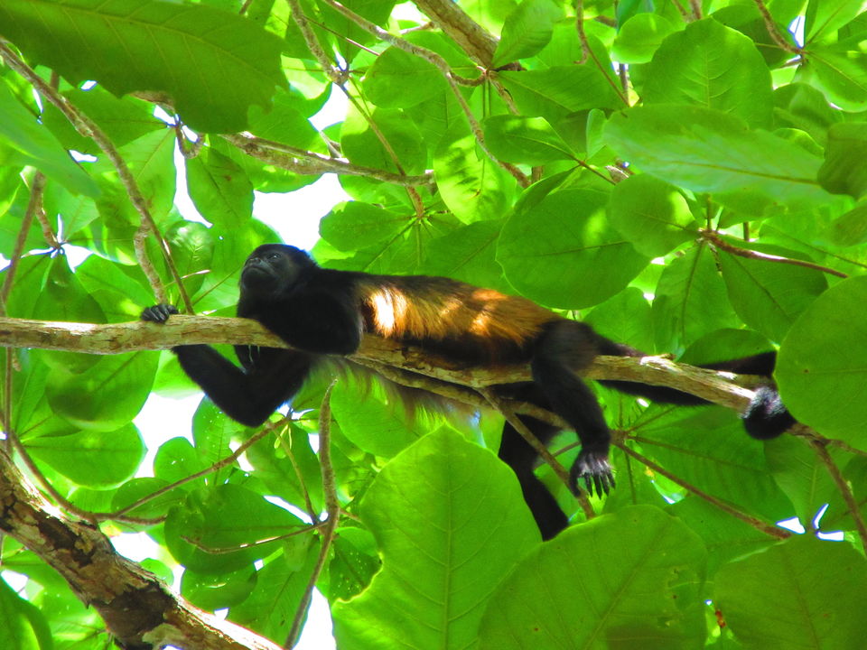 Photo of Ten Cool Experiences to have in Central America - journey-junkies.com by journey-junkies