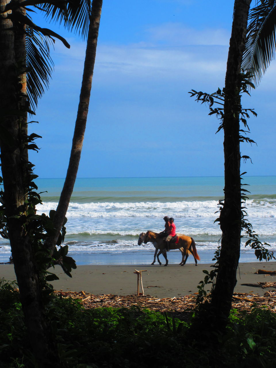 Photo of Ten Cool Experiences to have in Central America - journey-junkies.com 1/5 by journey-junkies