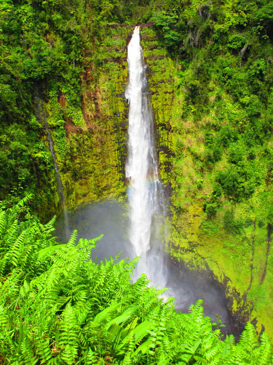 Photo of The Best of Big Island, Hawaii - journey-junkies.com 9/9 by journey-junkies