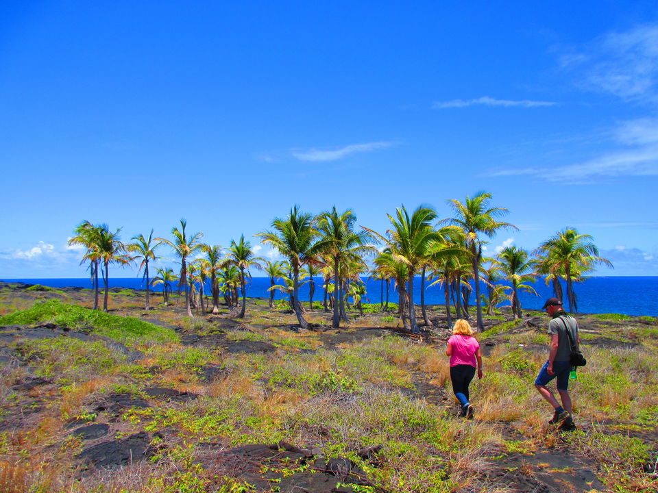 Photo of The Best of Big Island, Hawaii - journey-junkies.com by journey-junkies