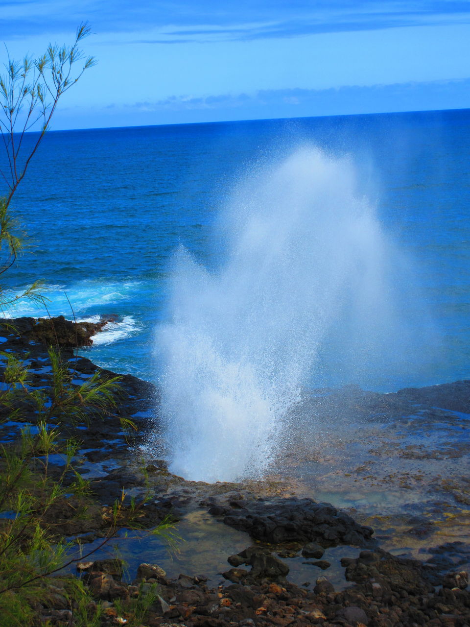 Photo of Highlights of Kauai, Hawaii - journey-junkies.com - ; Travel Blog 7/7 by journey-junkies