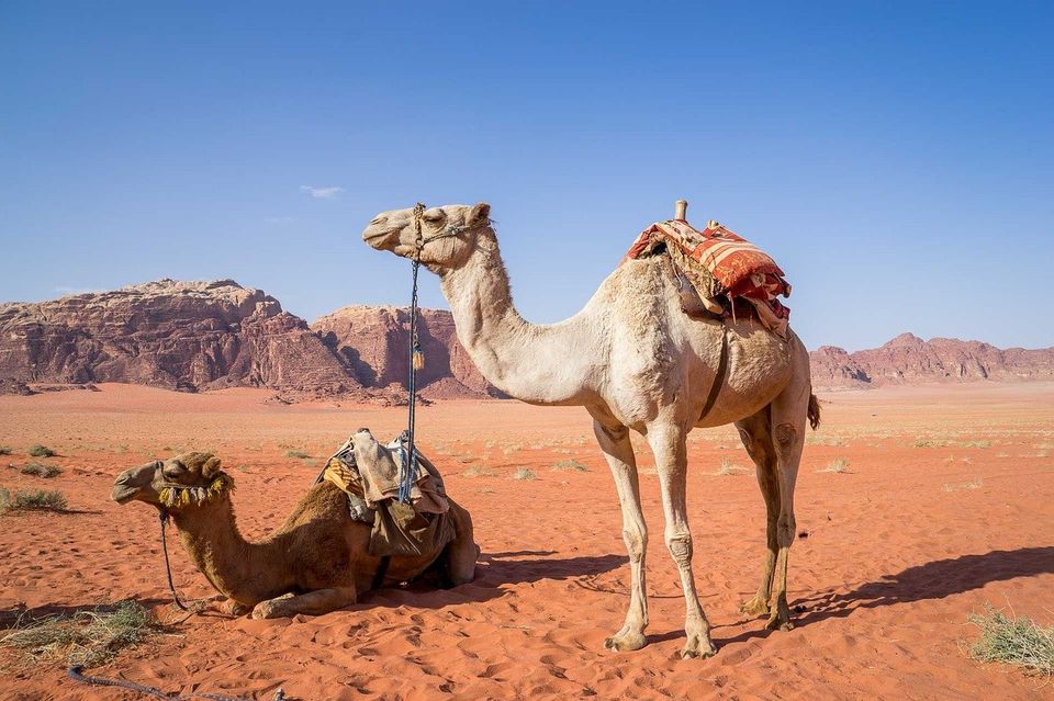 Photo of A Day Trip to Wadi Rum - The Valley of the Moon - journey-junkies.com 1/5 by journey-junkies