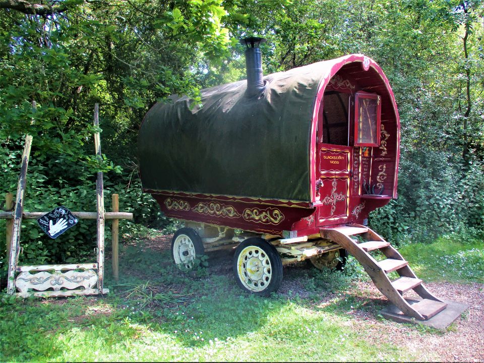 Photo of A Camping Trip to Blackberry Wood, East Sussex - journey-junkies.com by journey-junkies