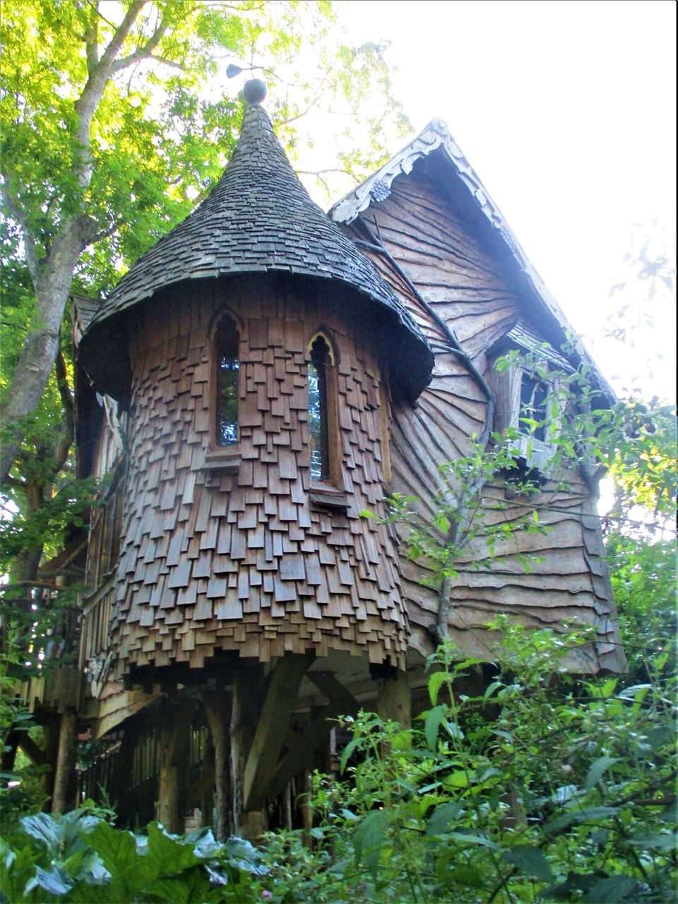 Photo of A Camping Trip to Blackberry Wood, East Sussex - journey-junkies.com 3/15 by journey-junkies