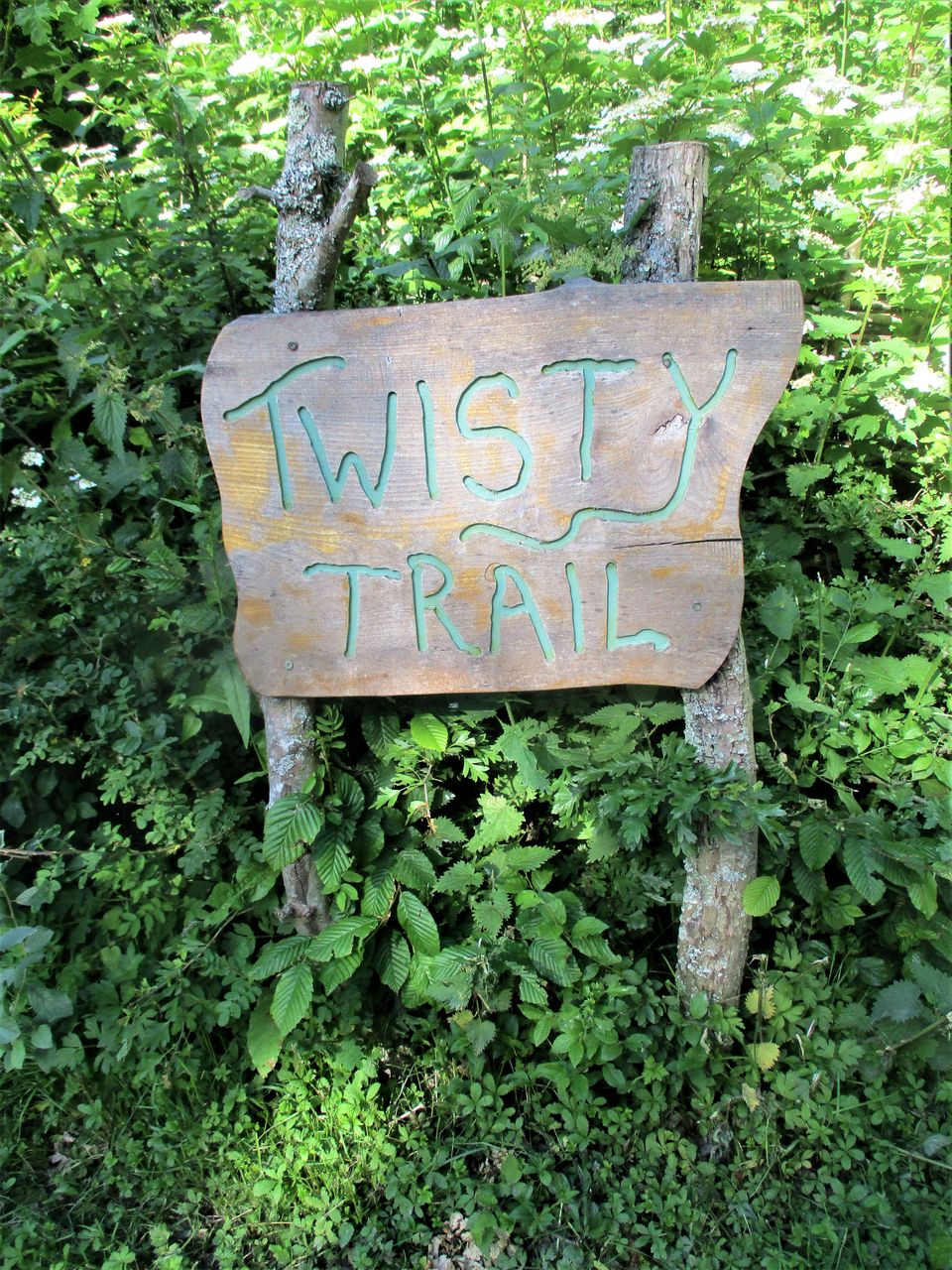 Photo of A Camping Trip to Blackberry Wood, East Sussex - journey-junkies.com 13/15 by journey-junkies