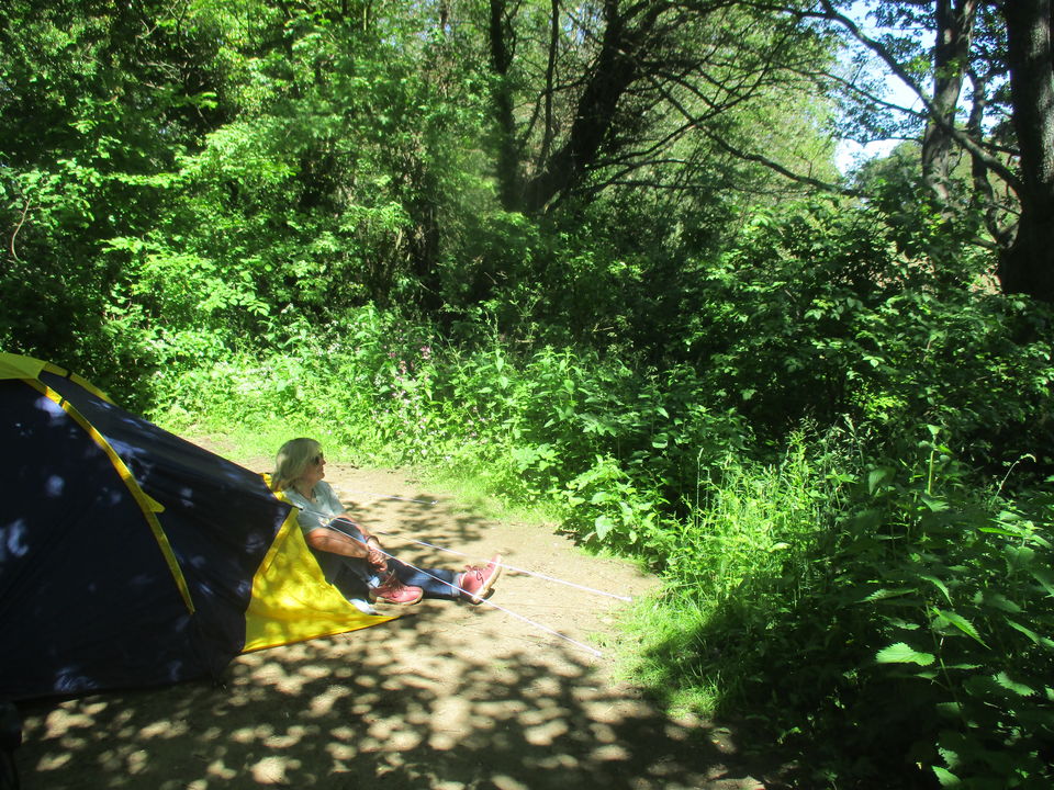 Photo of A Camping Trip to Blackberry Wood, East Sussex - journey-junkies.com 10/15 by journey-junkies