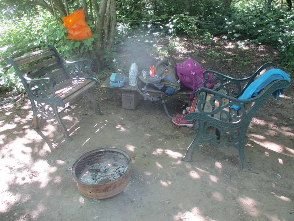 Photo of A Camping Trip to Blackberry Wood, East Sussex - journey-junkies.com 11/15 by journey-junkies