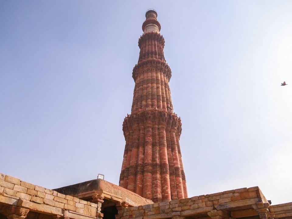 Photo of Volunteer in Delhi 5/7 by The Tarzan Way