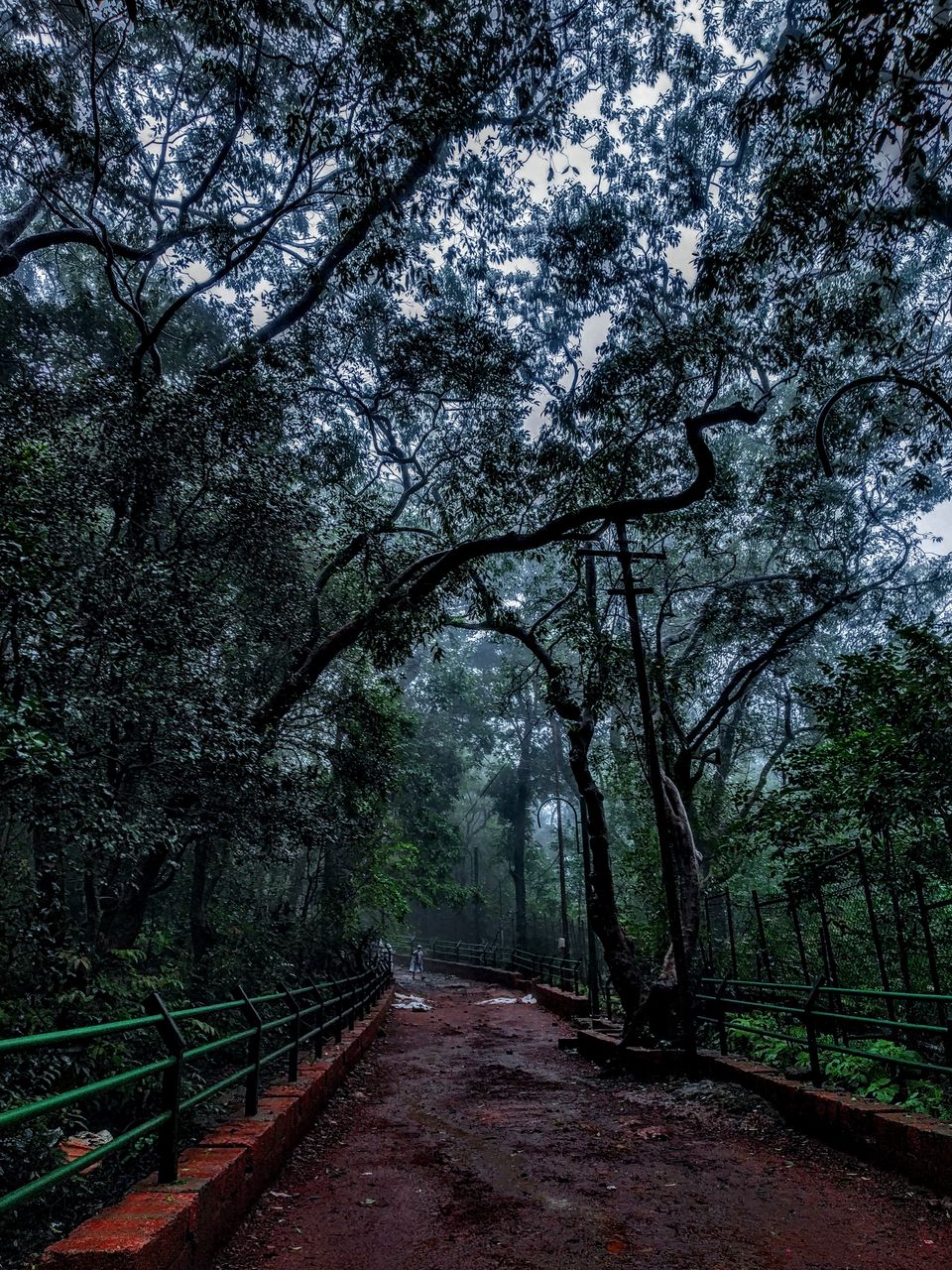 Photo of Matheran, Maharashtra, India by Thetriptuckker