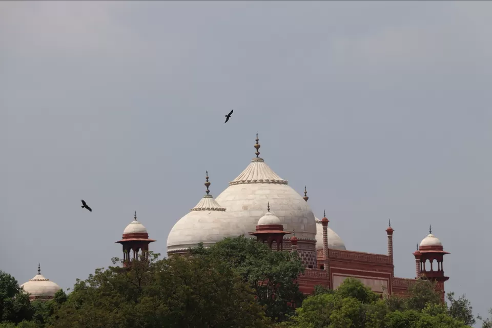 Photo of Taj Mahal by Lenzzstruck