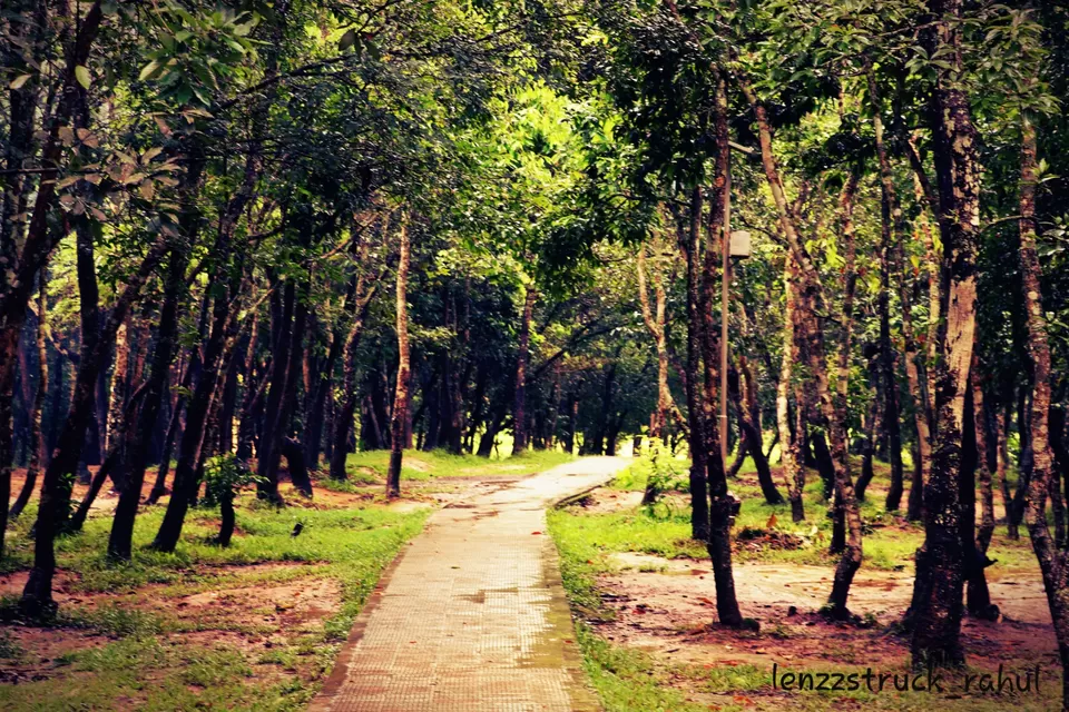 Photo of India by Lenzzstruck