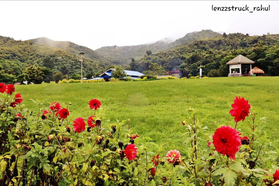 Photo of India by Lenzzstruck