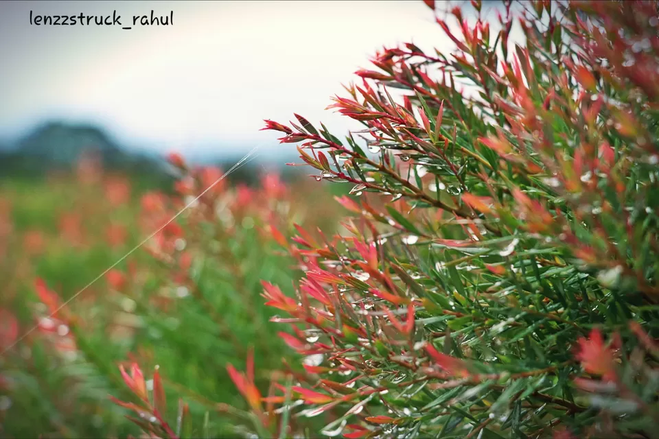 Photo of India by Lenzzstruck