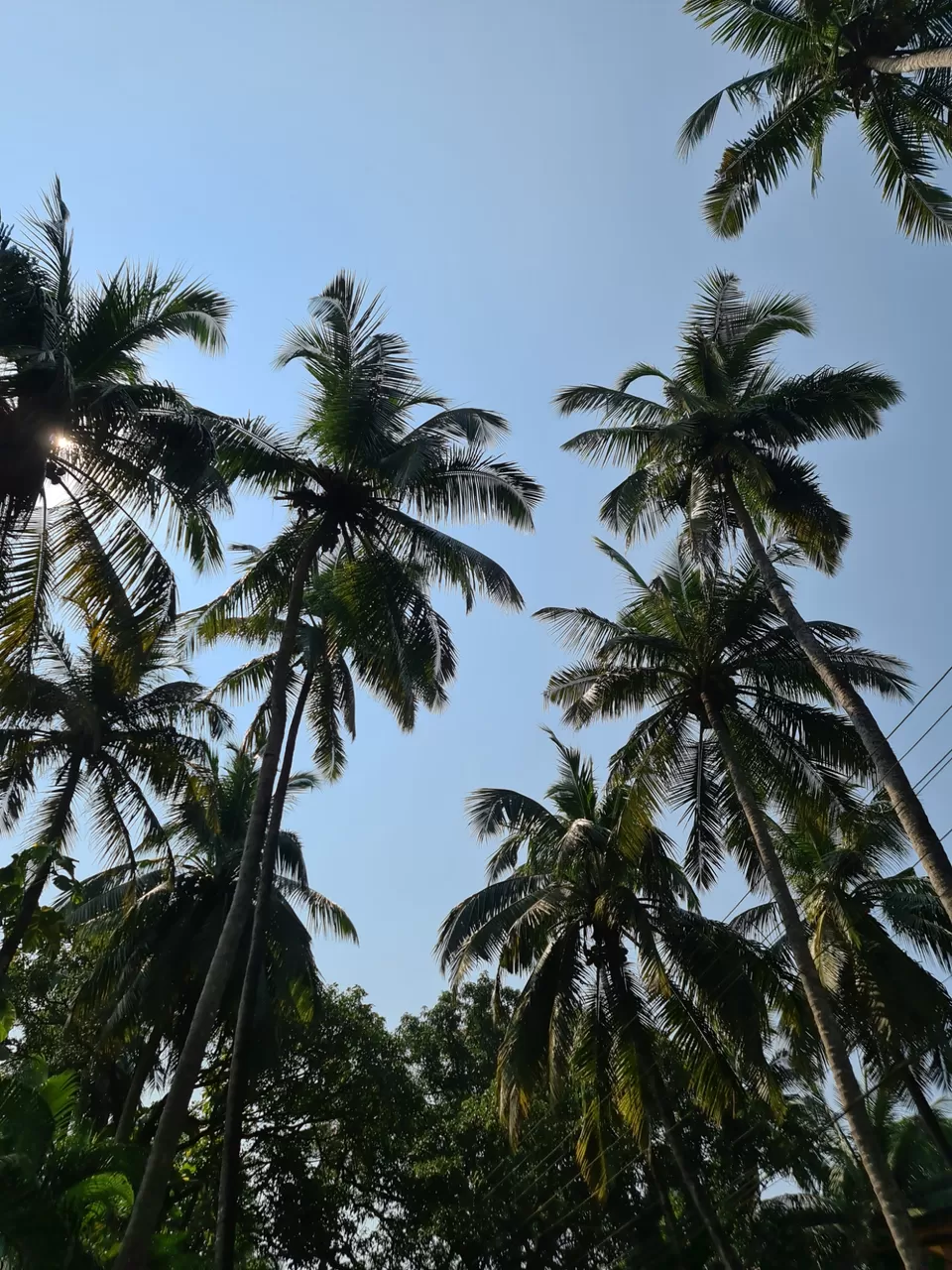 Photo of Goa by Lenzzstruck