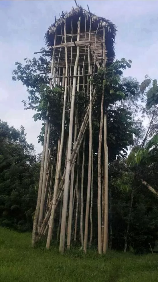 Photo of Papua New Guinea Holidays by Lucas Kawage