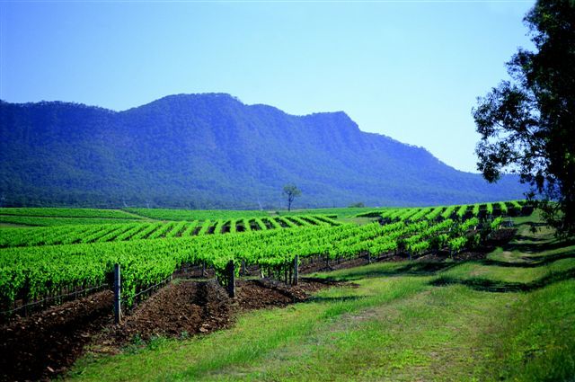 Photo of Hunter Valley, New South Wales, Australia by Lauren Fritsky