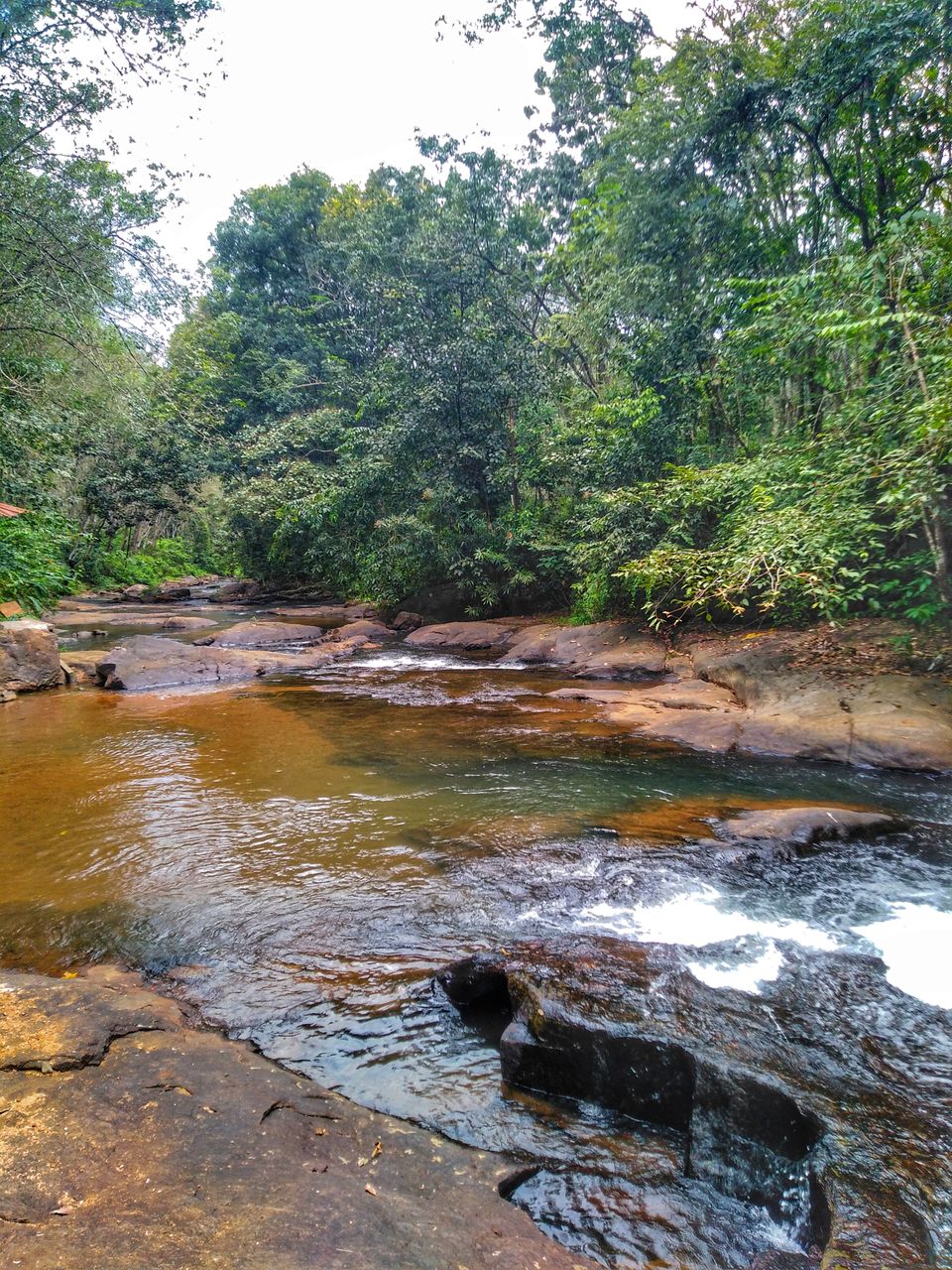 Photo of Anchukuzhy - A temple guarded by a roaring waterfall by Thejus R