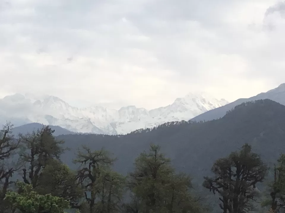 Photo of Chopta, Uttarakhand, India by Jayant Arrawatia