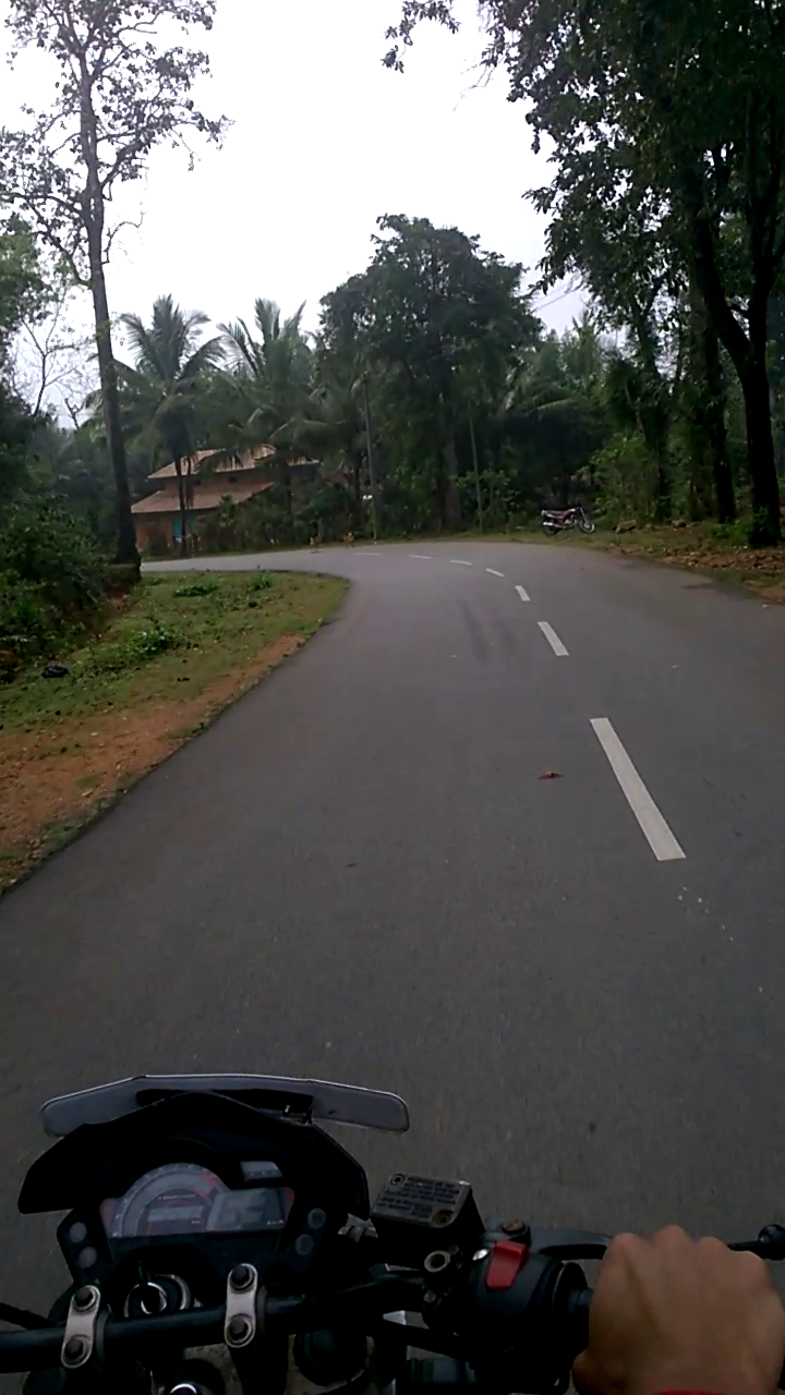 Photo of Roadtrip to Chikmanglur 4/7 by Sreeparna Mukherjee