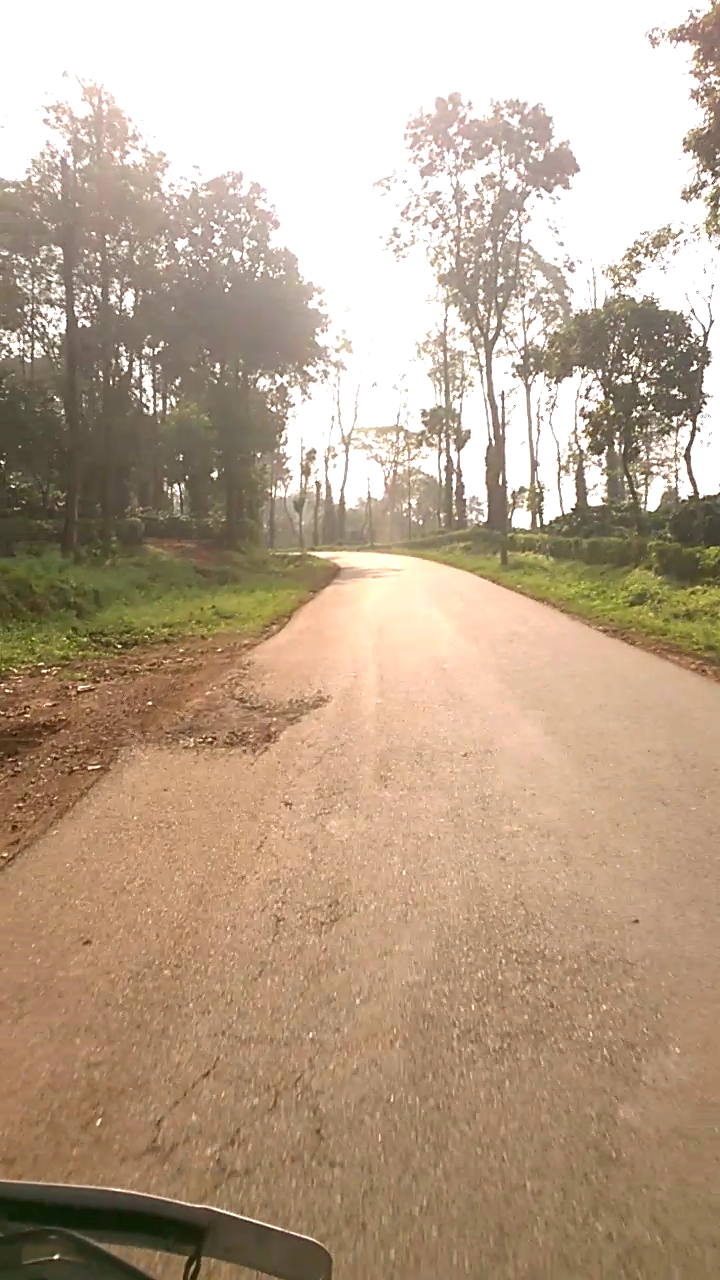 Photo of Roadtrip to Chikmanglur 5/7 by Sreeparna Mukherjee