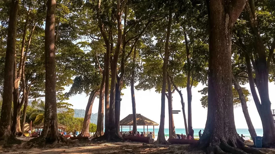 Photo of Havelock Island, Andaman and Nicobar Islands by Ankita Biswas | My Travelling Stilettos