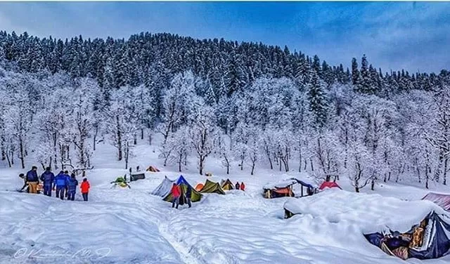 Photo of Sankri, Uttarakhand, India by Arun Kumar