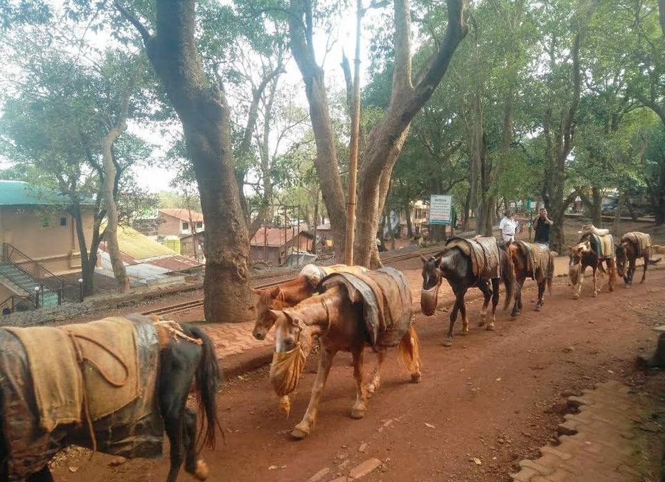 Photo of भारत का एकमात्र खूबसूरत हिल-स्टेशन,जहाँ वाहनो का प्रवेश हैं निषेध by Priya Yadav