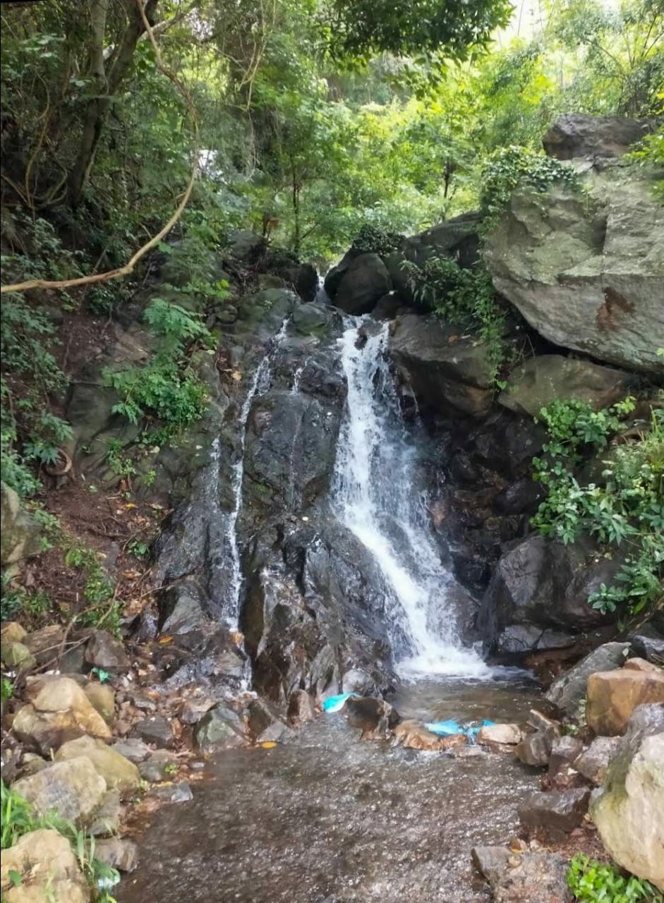 Photo of यरकौड हिल स्टेशन,प्रकृति की गोद में एक खूबसूरत शहर by Priya Yadav