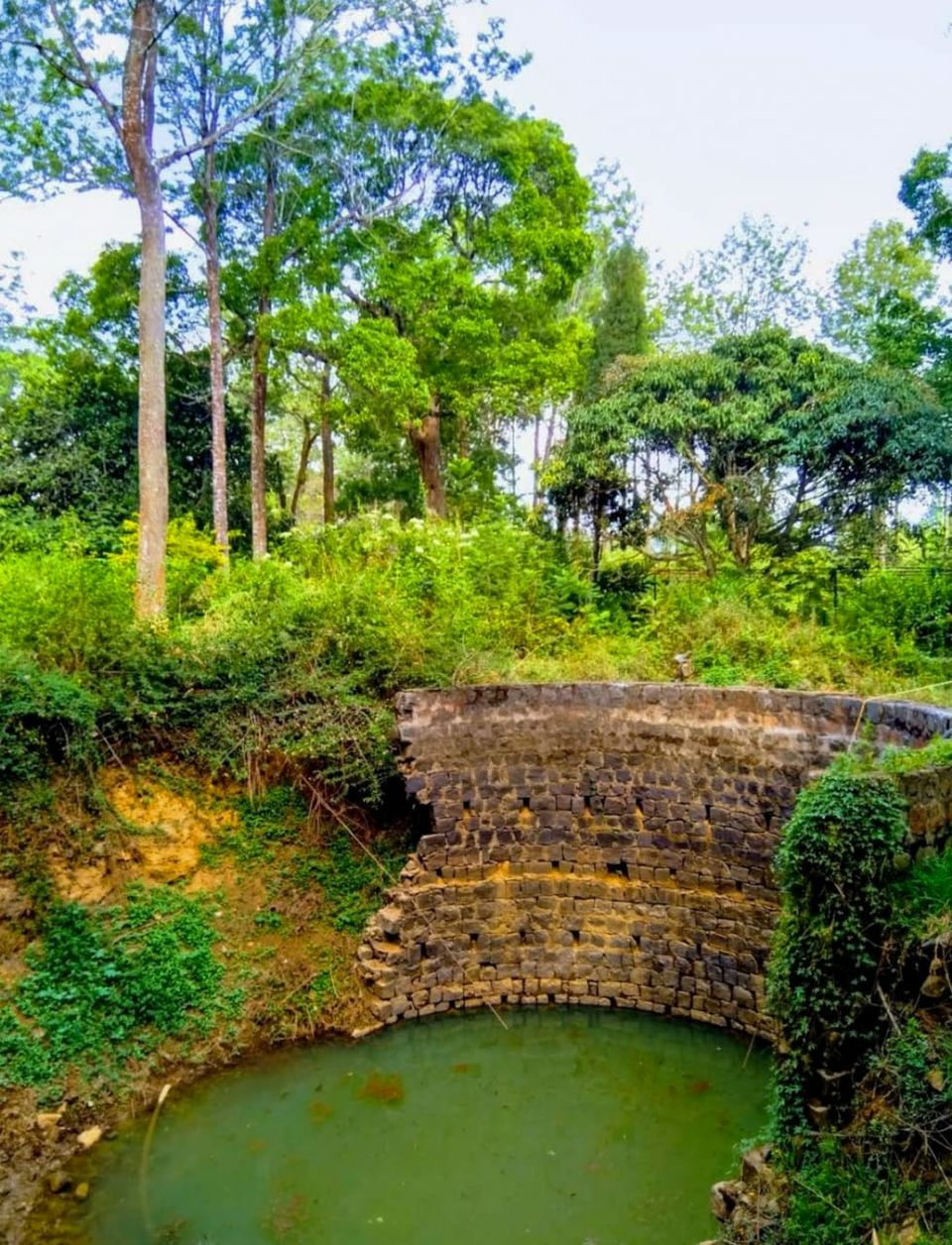 Photo of यरकौड हिल स्टेशन,प्रकृति की गोद में एक खूबसूरत शहर by Priya Yadav