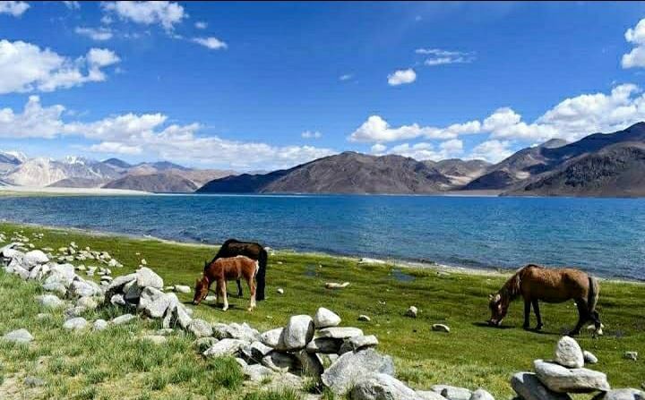 Photo of बर्फीले रेगिस्तान का सतरंगी इंद्रधनुष, पैंगांग झील by Priya Yadav