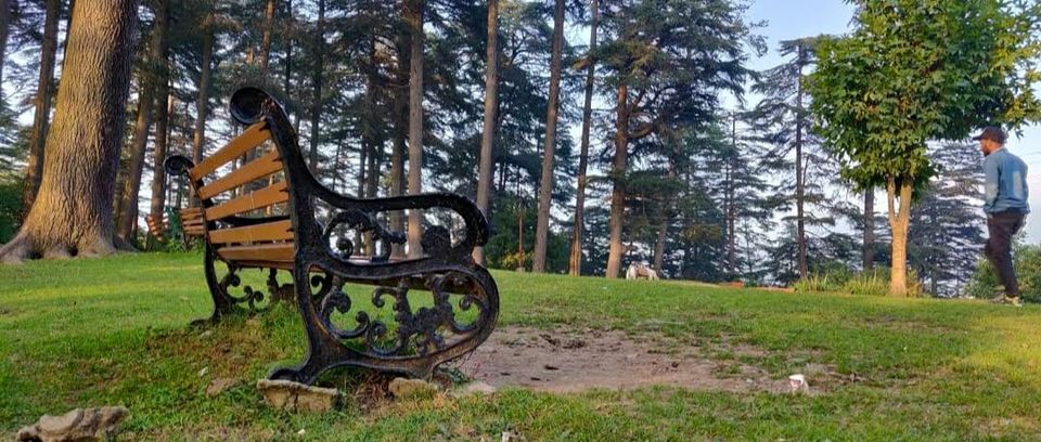 Photo of एडवेंचर और रोमांच के लिए बेस्ट डेन्टीनेशन है जम्मू का पटनीटॉप by Priya Yadav