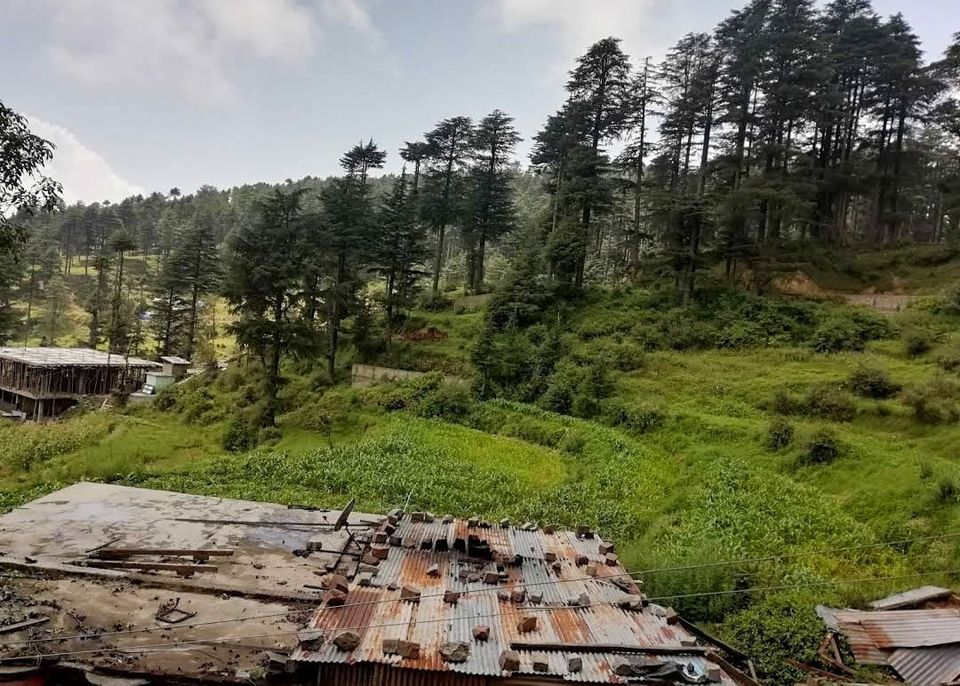 Photo of एडवेंचर और रोमांच के लिए बेस्ट डेन्टीनेशन है जम्मू का पटनीटॉप by Priya Yadav