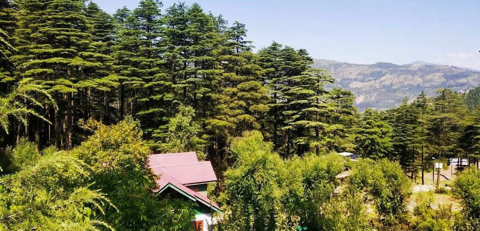 Photo of एडवेंचर और रोमांच के लिए बेस्ट डेन्टीनेशन है जम्मू का पटनीटॉप by Priya Yadav