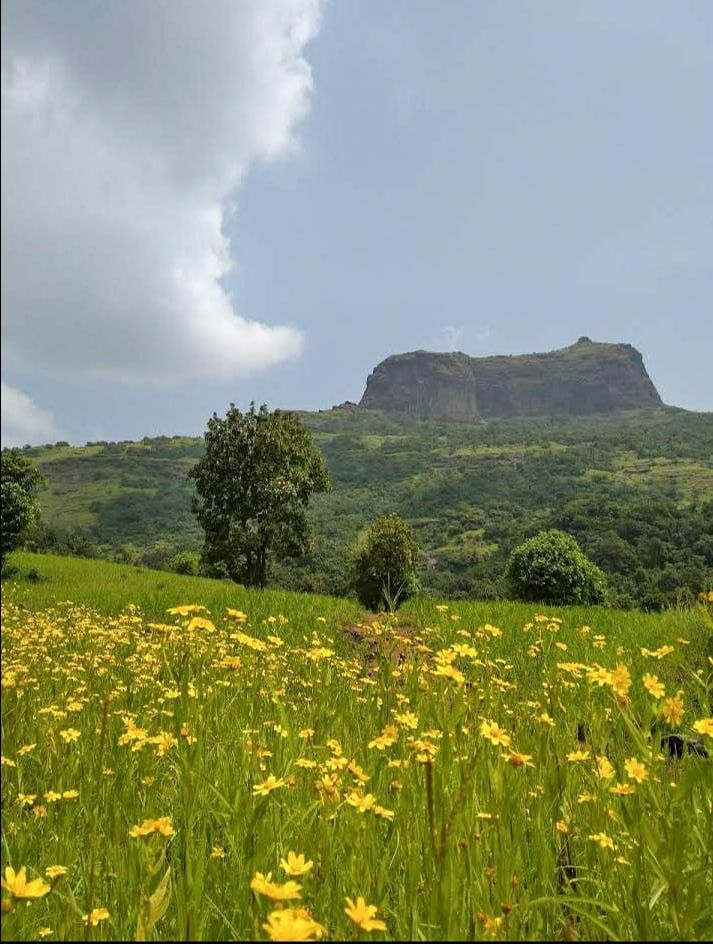 Photo of एडवेंचर के है शौकीन और इतिहास में है रूचि तो एक बार जरूर आये,हरिहर फोर्ट by Priya Yadav