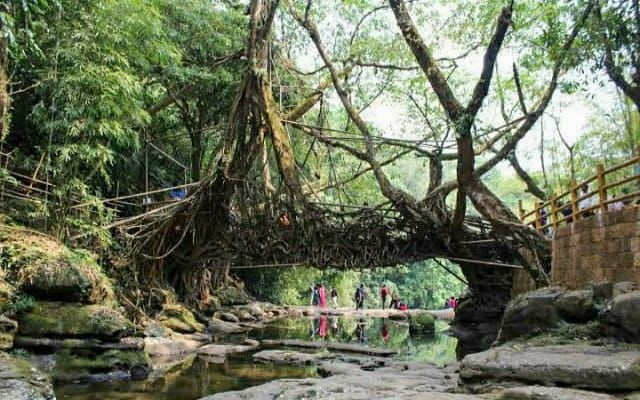 Photo of मावलिननॉन्ग: बड़े-बड़े शहरो को शर्मिंदा करता, भारत का ये गाँव है एशिया का सबसे स्वच्छ गांव by Priya Yadav
