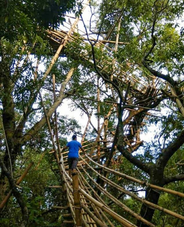 Photo of मावलिननॉन्ग: बड़े-बड़े शहरो को शर्मिंदा करता, भारत का ये गाँव है एशिया का सबसे स्वच्छ गांव by Priya Yadav