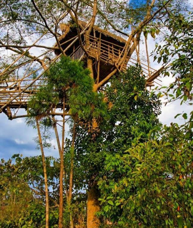 Photo of मावलिननॉन्ग: बड़े-बड़े शहरो को शर्मिंदा करता, भारत का ये गाँव है एशिया का सबसे स्वच्छ गांव by Priya Yadav
