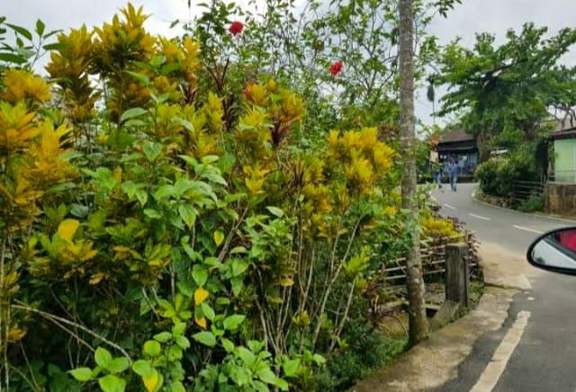Photo of मावलिननॉन्ग: बड़े-बड़े शहरो को शर्मिंदा करता, भारत का ये गाँव है एशिया का सबसे स्वच्छ गांव by Priya Yadav