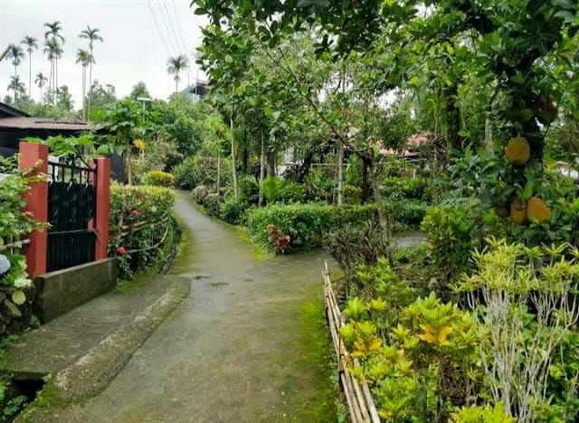 Photo of मावलिननॉन्ग: बड़े-बड़े शहरो को शर्मिंदा करता, भारत का ये गाँव है एशिया का सबसे स्वच्छ गांव by Priya Yadav