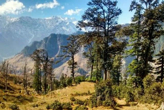 Photo of बर्फ़बारी का लेना चाहते है मजा तो अब शिमला और मनाली नही हिमाचल के गुलाबा में बिताएं अपनी छुटियाँ by Priya Yadav