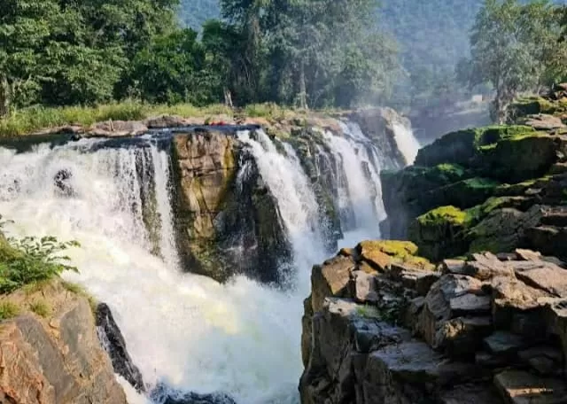 Photo of वन डे-ट्रिप के लिए एक बेहतर ऑप्शन है होगेनक्कल झरना by Priya Yadav