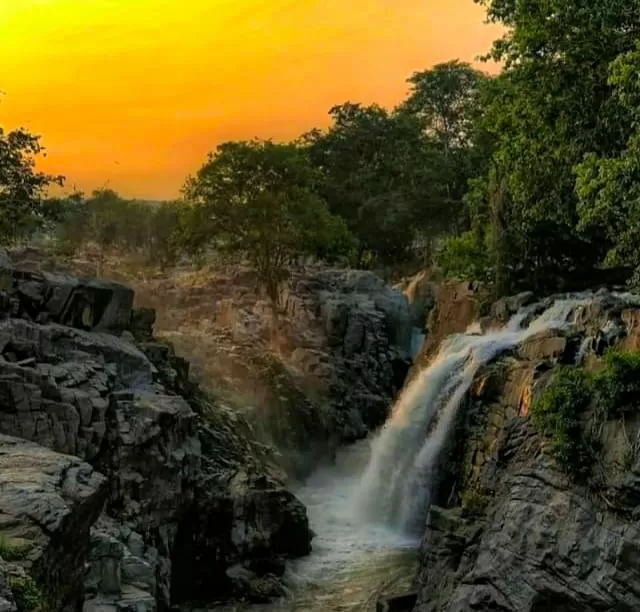 Photo of वन डे-ट्रिप के लिए एक बेहतर ऑप्शन है होगेनक्कल झरना by Priya Yadav