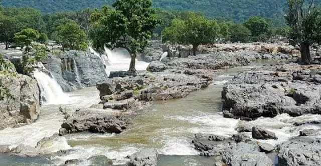 Photo of वन डे-ट्रिप के लिए एक बेहतर ऑप्शन है होगेनक्कल झरना by Priya Yadav