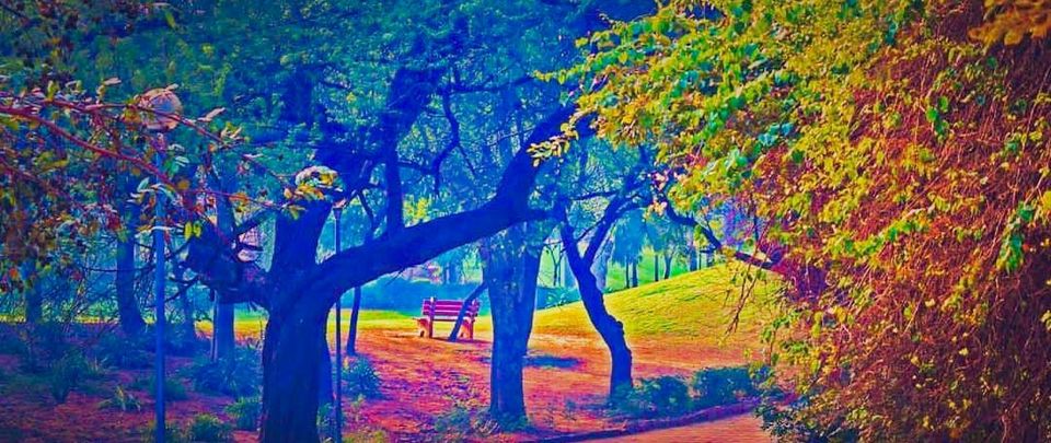Photo of 5 सस्ती और मजेदार डेट्स प्लान जो आपके वैलेंटाइन को बनायेगा और भी ख़ास by Priya Yadav